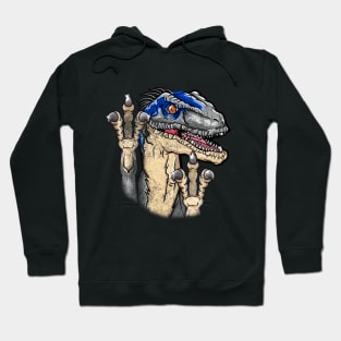 jurassic park limited edition Hoodie